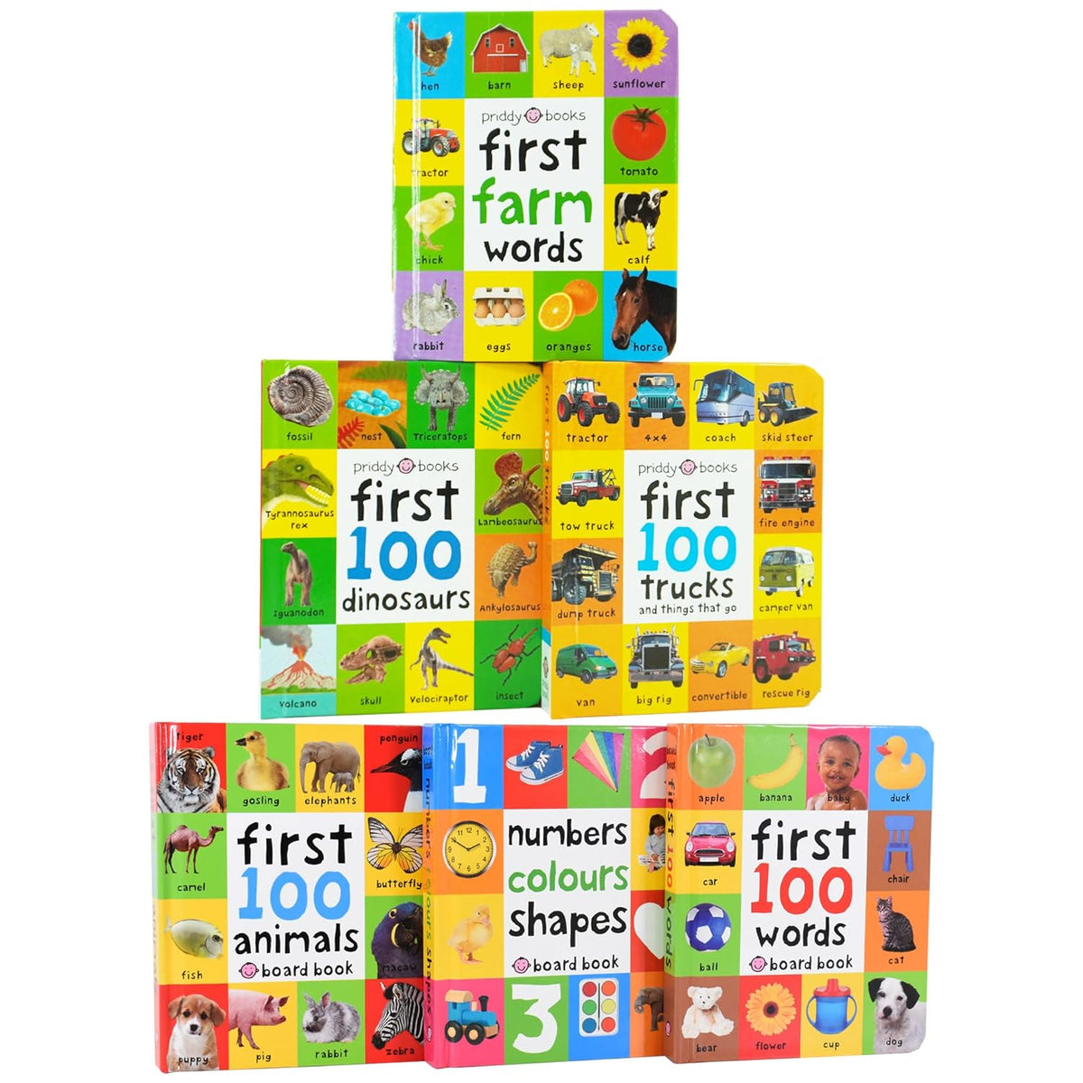 First 100 series 6 Books Children Collection Box Set (First 100 Animals, First 100 Words, Numbers Colours Shapes, First Farm Words, First 100 Trucks and First 100 Dinosaurs)