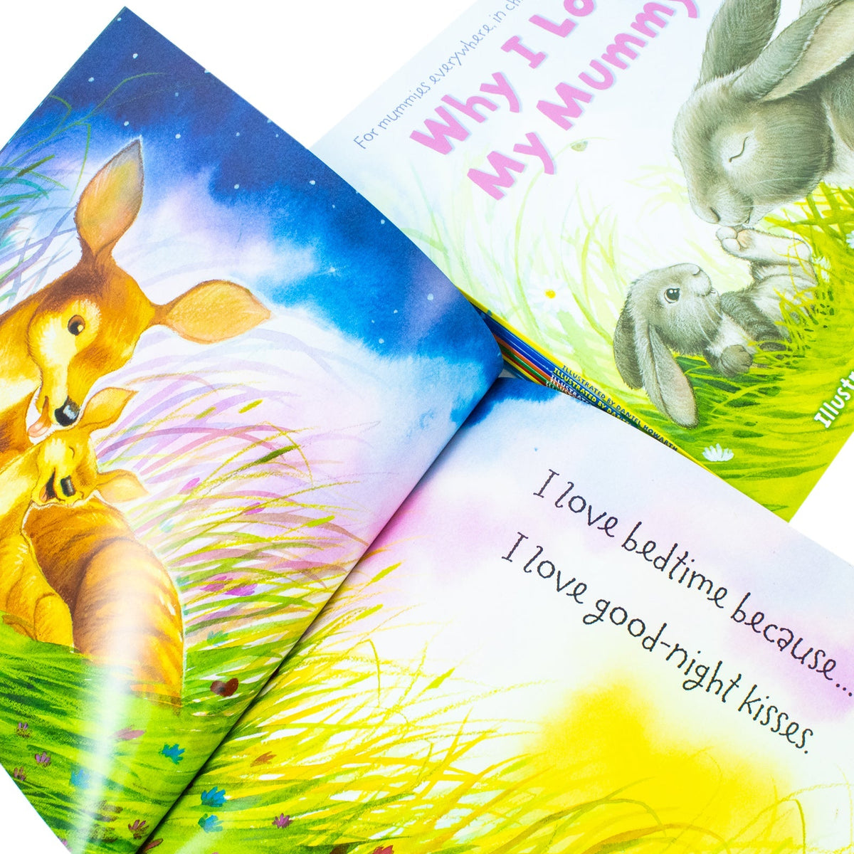 Why I Love 10 Picture Flat Books Children Collection Paperback Set By Daniel Howarth