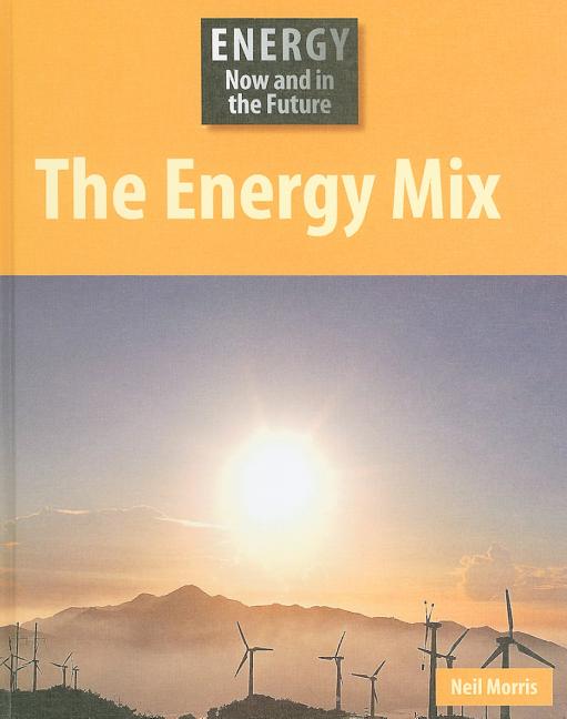 The Energy Mix