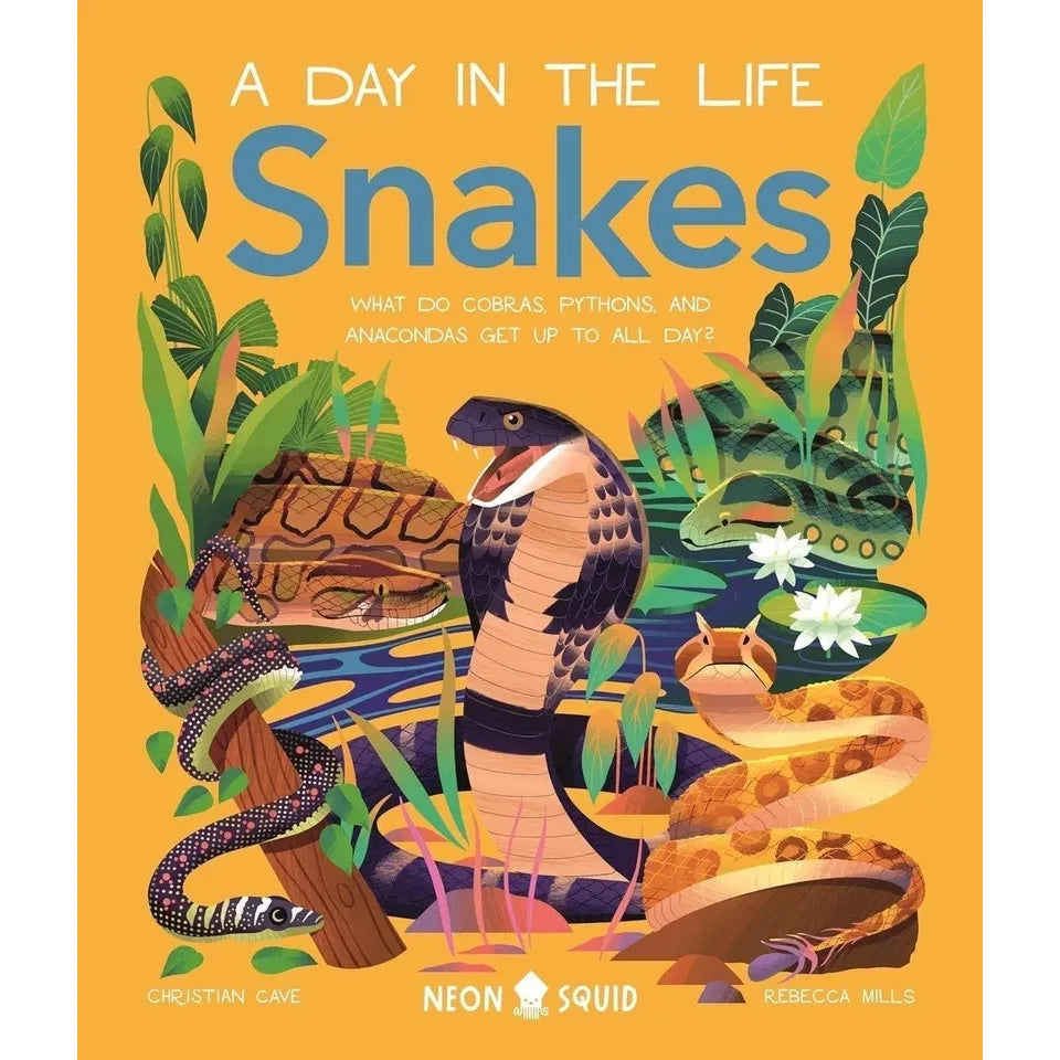 A Day in the Life Series 8 Books Collection Set (Bugs, Big Cats, Sharks, Horses, Birds, Frogs, Bears, Snakes)