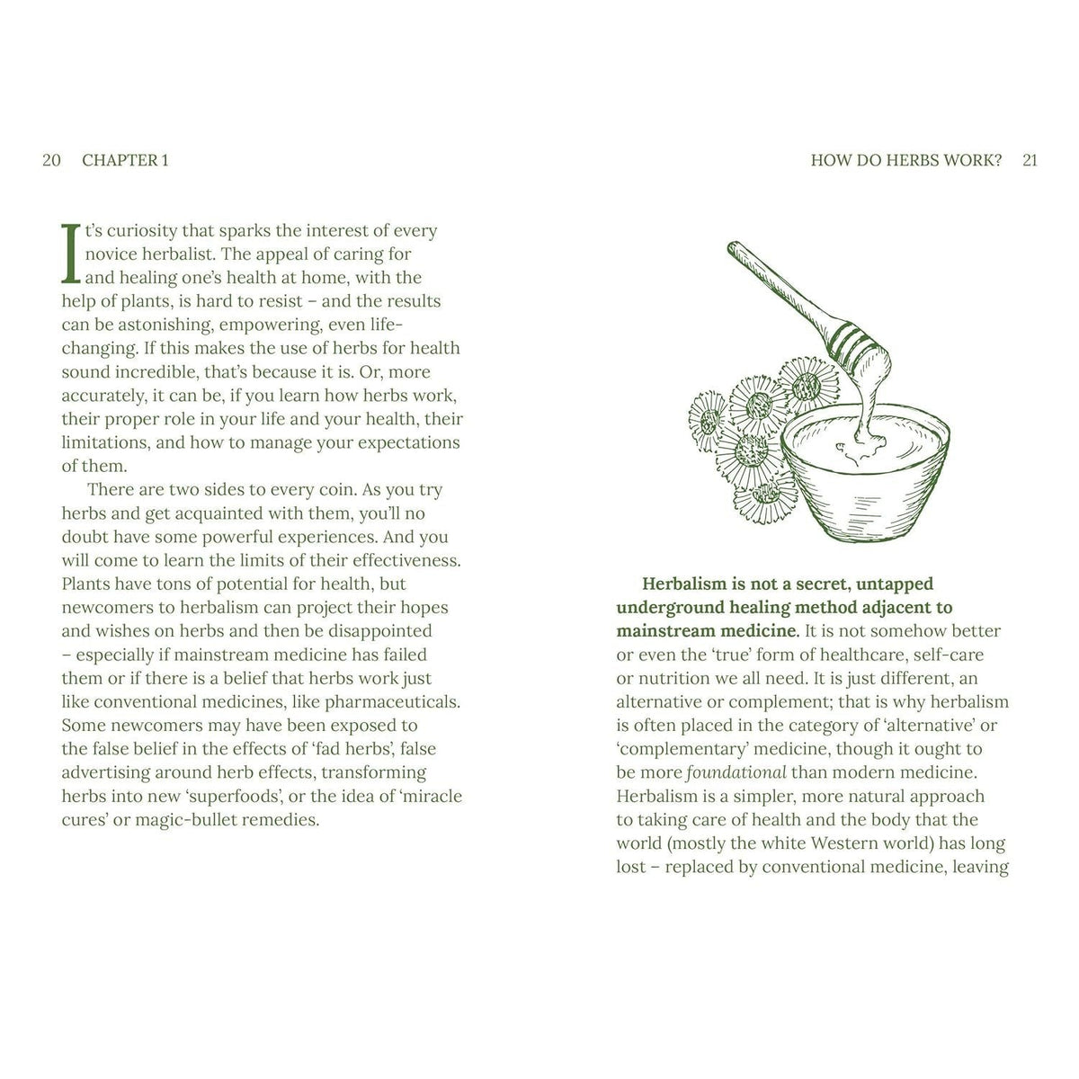 Herbalism: Plants and Potions that Heal (Arcturus Hidden Knowledge) by Adrian White