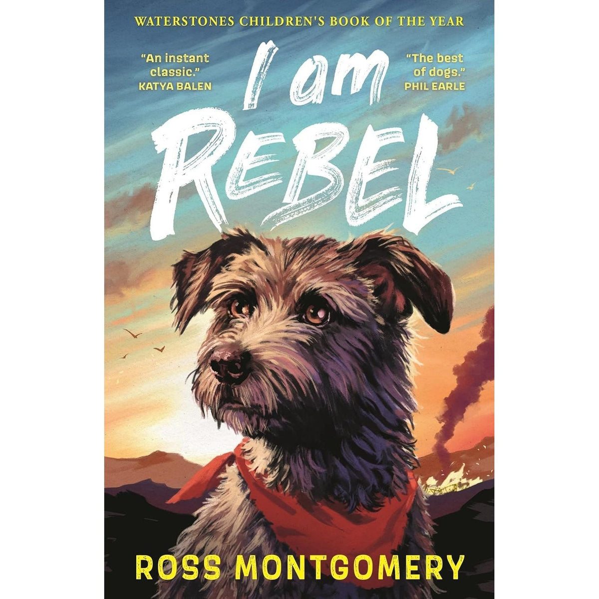 Ross Montgomery Collection 5 Books Set (The Midnight Guardians, The Chime Seekers, Spellstone & More)
