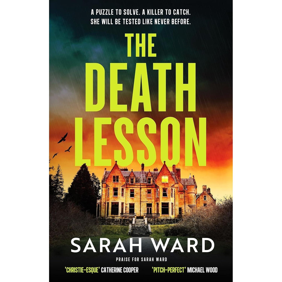 Mallory Dawson & Carla James Crime Thrillers 2 Books Collection Set by Sarah Ward (Quiet Bones & The Death Lesson)