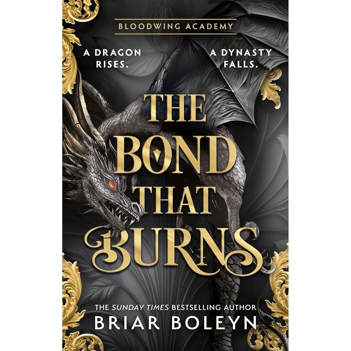 Bloodwing Academy Series 2 Books Collection Set By Briar Boleyn (On Wings Of Blood & The Bond that Burns)