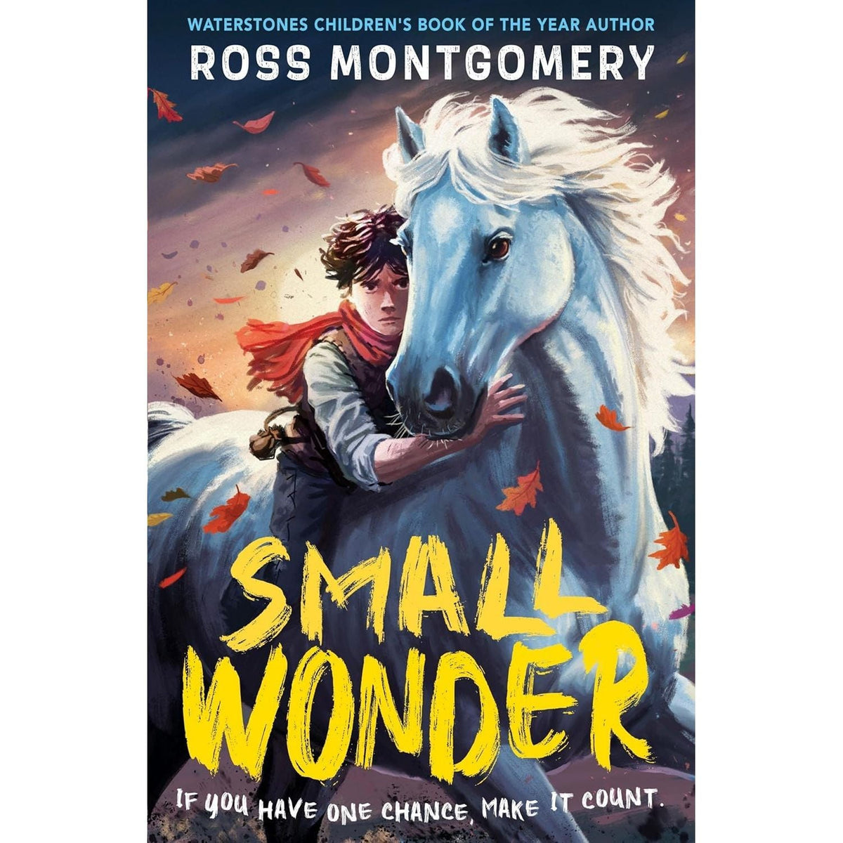Ross Montgomery Collection 5 Books Set (The Midnight Guardians, The Chime Seekers, Spellstone & More)