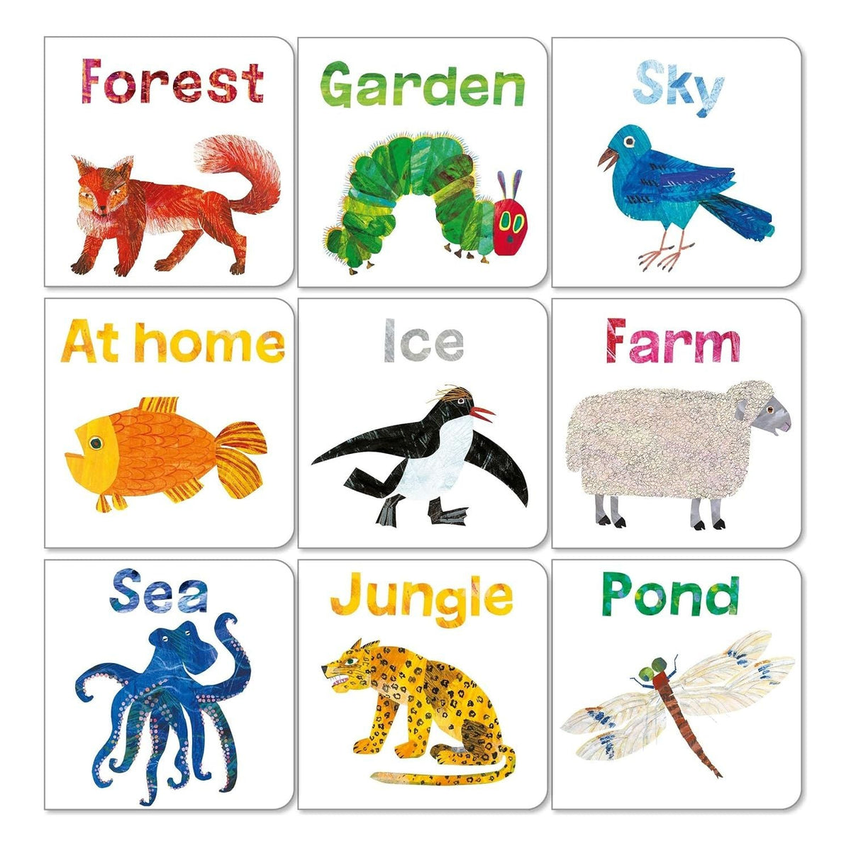 The World of Eric Carle: Big Box of Little Books