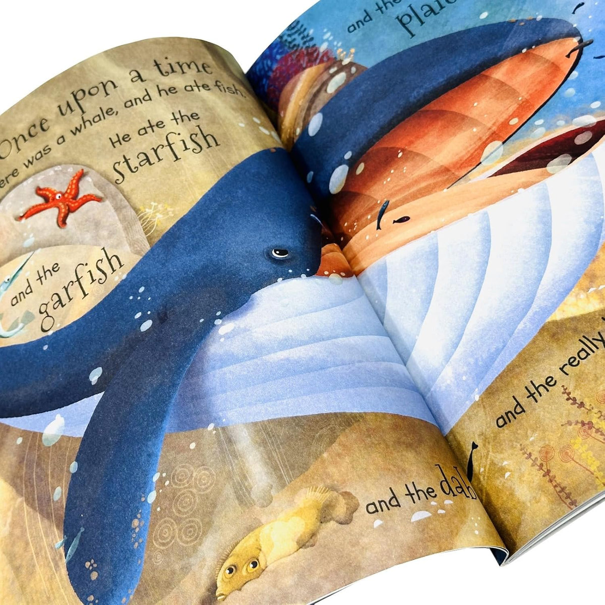 Stories From the Sea: 10 Tales of Wild Animals Beneath the Waves Children's Books Collection Set