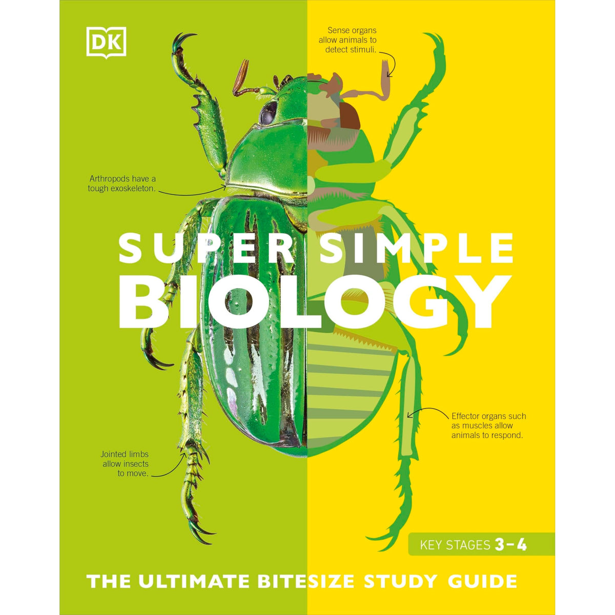 Super Simple Biology: The Ultimate Bitesize Study Guide