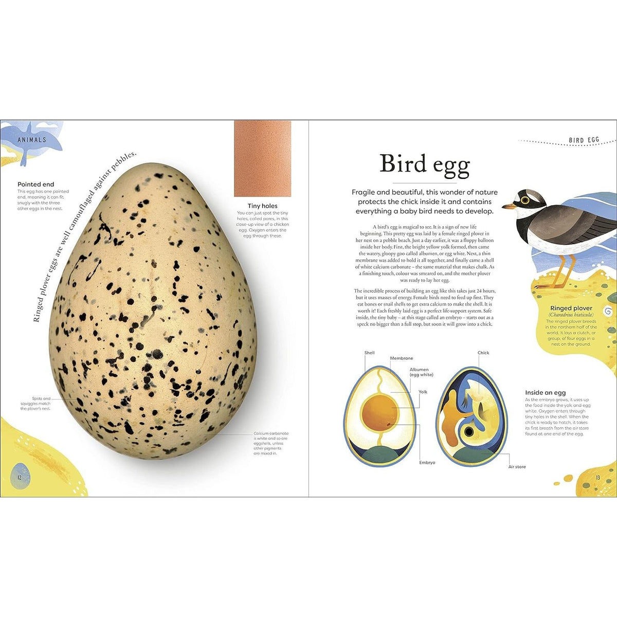Nature's Treasures: Tales Of More Than 100 Extraordinary Objects From Nature (DK Treasures)