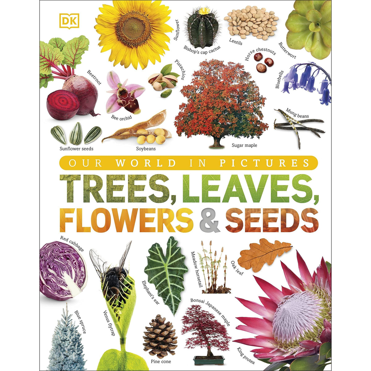 Our World in Pictures: Trees, Leaves, Flowers and Seeds: A visual encyclopedia of the plant kingdom