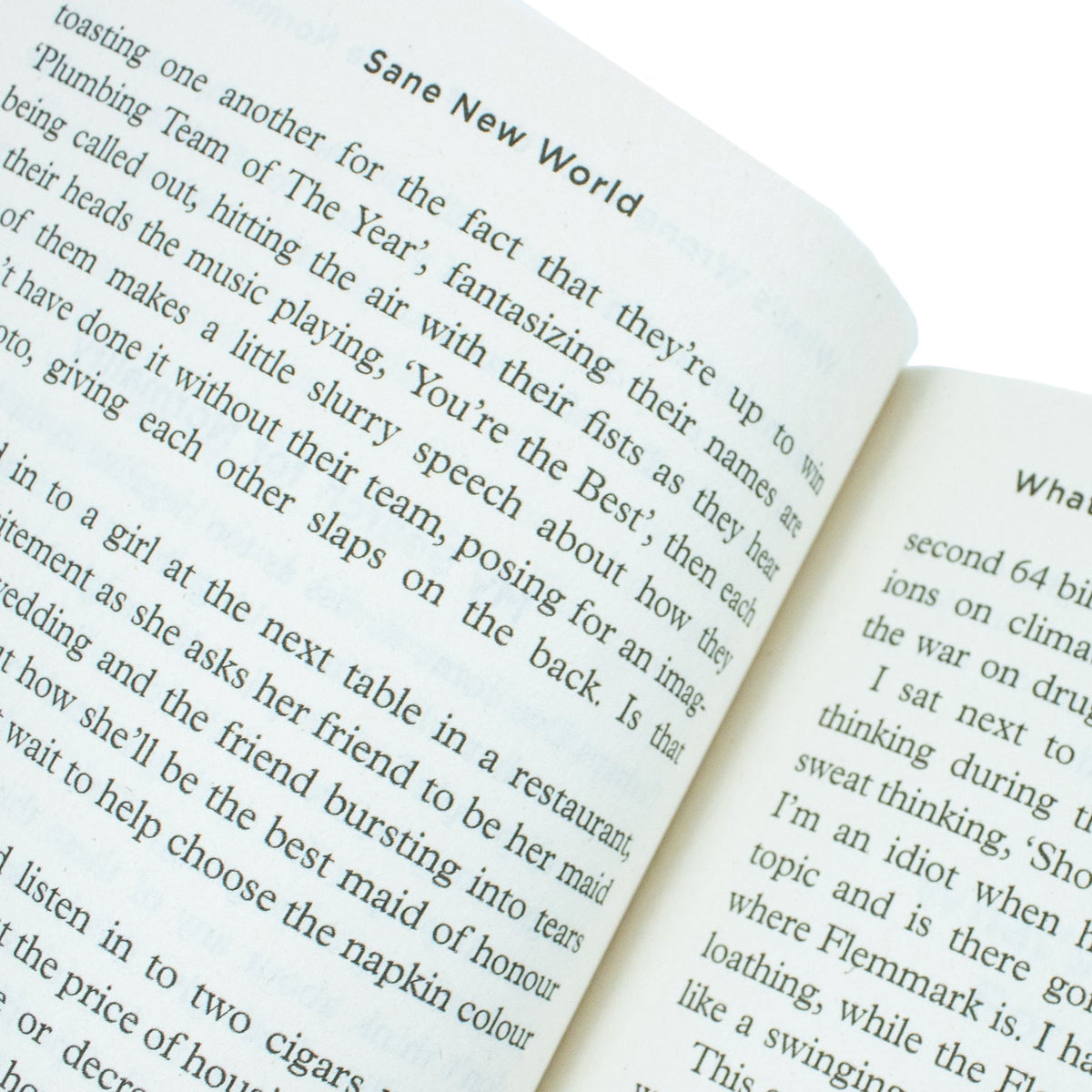 Sane New World Taming The Mind by Ruby Wax