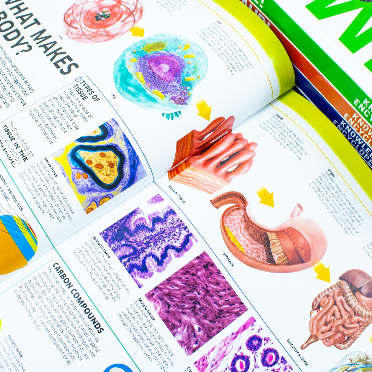 Knowledge Encyclopedias Collection 5 Books Set By DK (Human Body, Science, Space, Animal and Dinosaur)