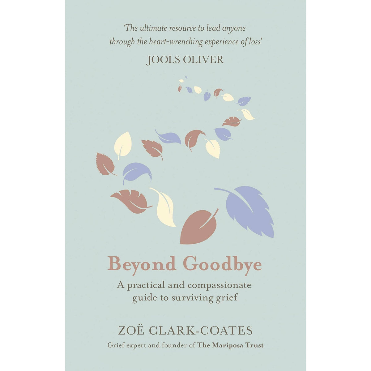 Zoe Clark-coates Collection 3 Books Set (The Baby Loss Guide, Beyond Goodbye, [h] Pregnancy After Loss)