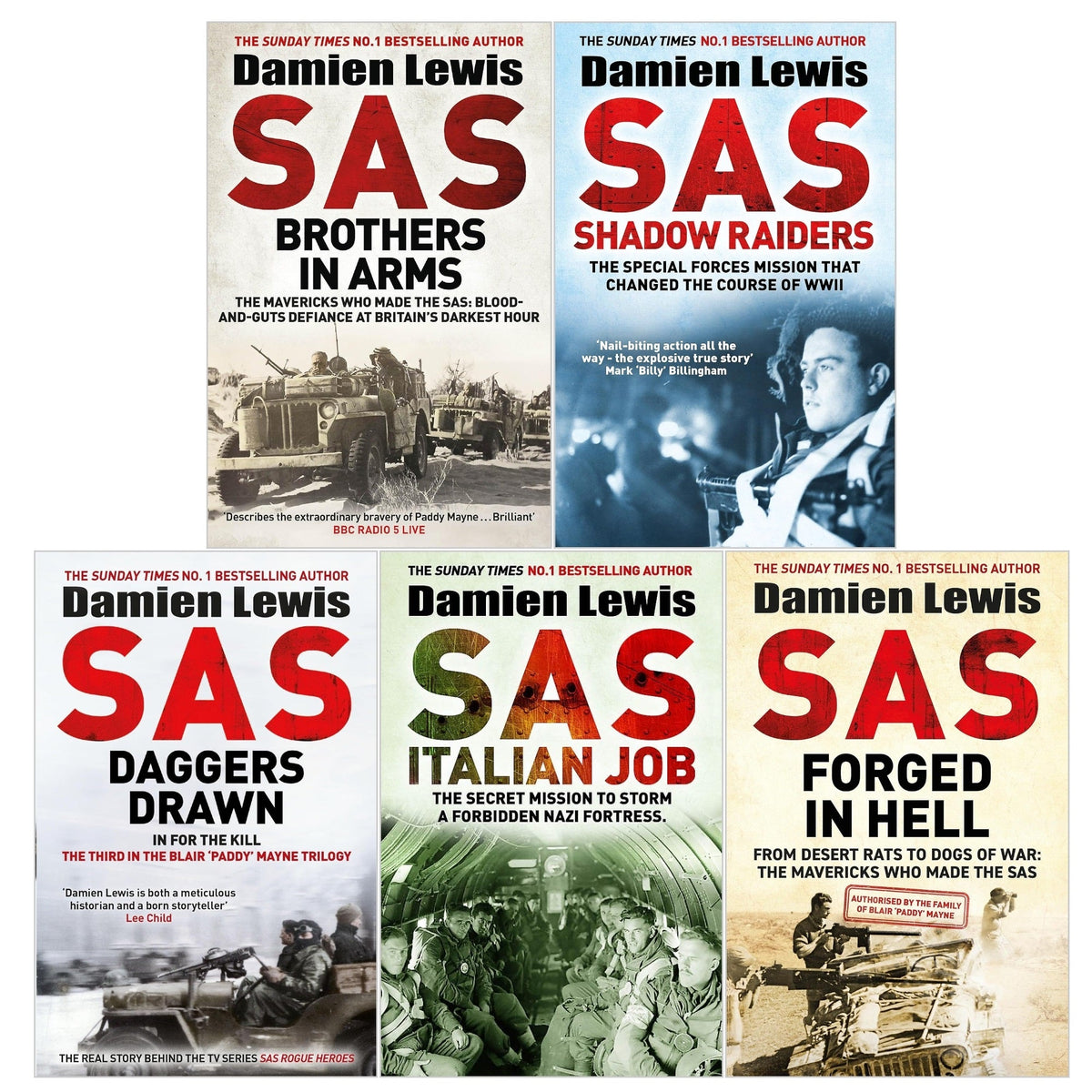 Damien Lewis 5 Books Collection Set (SAS Brothers in Arms, SAS Forged in Hell, SAS Daggers Drawn, SAS Shadow Raiders, SAS Italian Job)