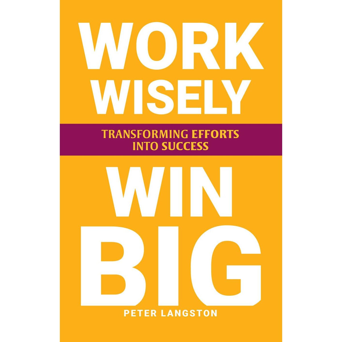 THE ONE GOAL, WORK WISELY WIN BIG 2 Books Collection Set