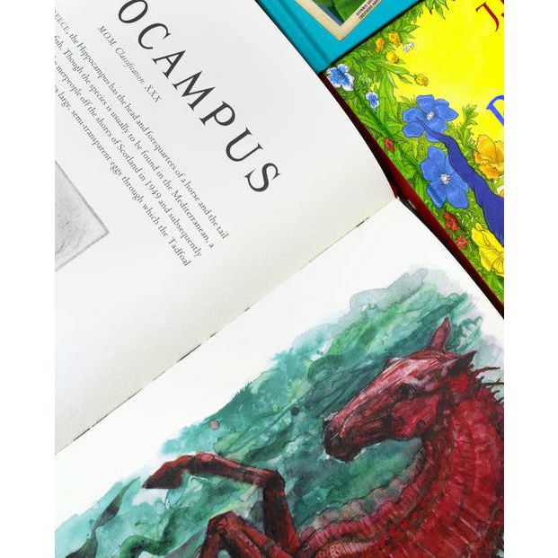 J.K. Rowling Illustrated Edition Collection 3 Books Set Hardback (Fantastic Beasts and Where to Find Them, Quidditch Through the Ages, The Tales of Beedle the Bard)