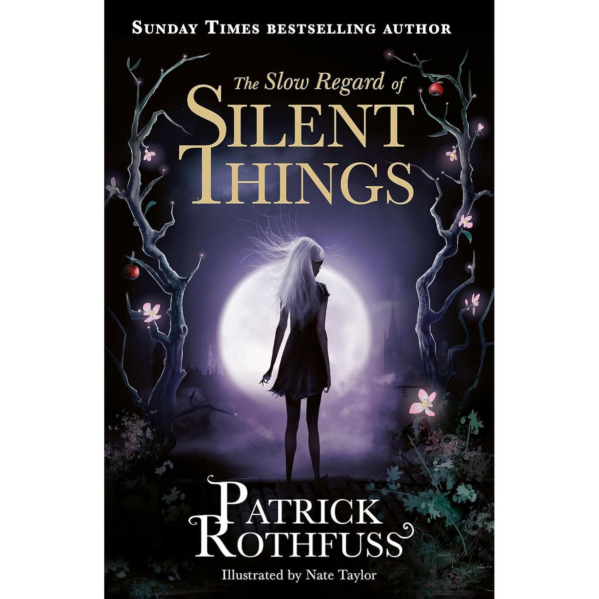 Kingkiller Chronicle Patrick Rothfuss Collection 4 Books Set (The Name of the Wind, The Wise Man’s Fear, The Slow Regard of Silent Things and The Narrow Road Between Desires)