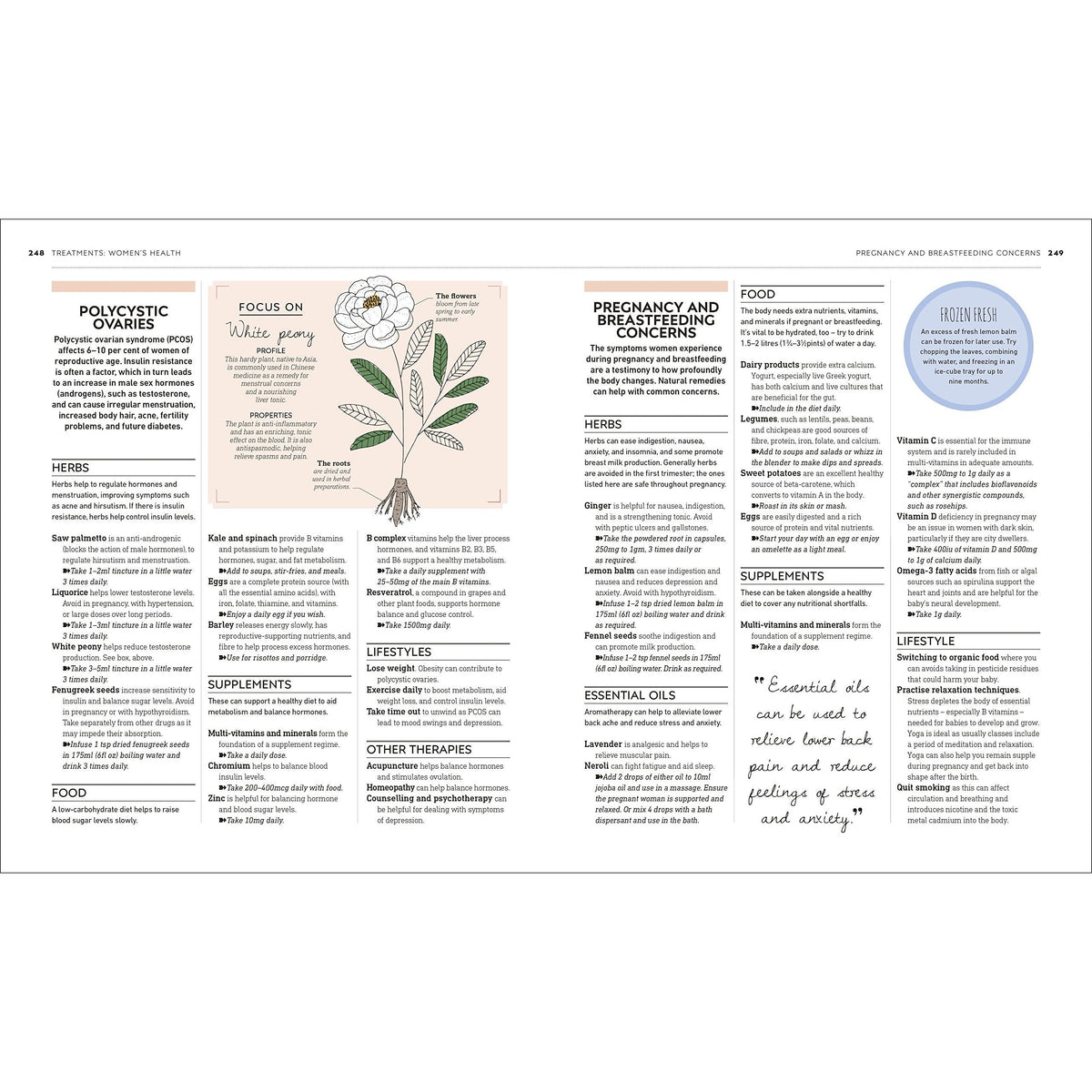 Neal's Yard Remedies Complete Wellness: Enjoy Long-lasting Health and Wellbeing with over 800 Natural Remedies