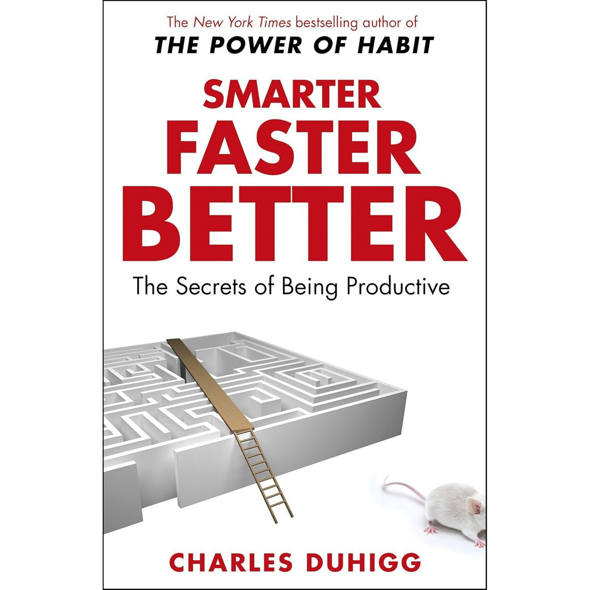 Smarter Faster Better The Secrets Of Being Productive In Life And BusinessSmarter Faster Better The Secrets Of Being Productive In Life And Business