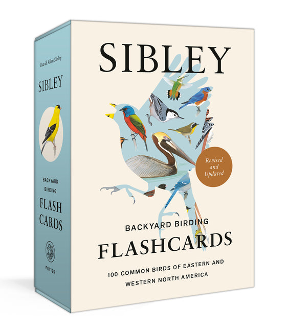 Sibley Backyard Birding Flashcards, Revised and Updated: 100 Common Birds of Eastern and Western North America: 100 Common Birds of Eastern and Western North America