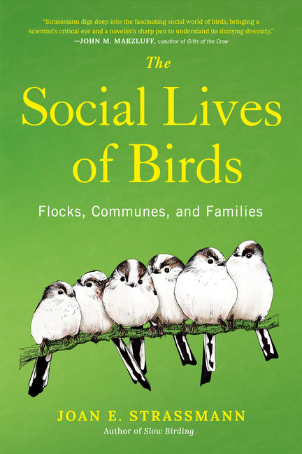 The Social Lives of Birds: Flocks, Communes, and Families: Flocks, Communes, and Families