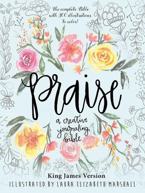 Praise: A Creative Journaling Bible (Skyhorse Stationary)
