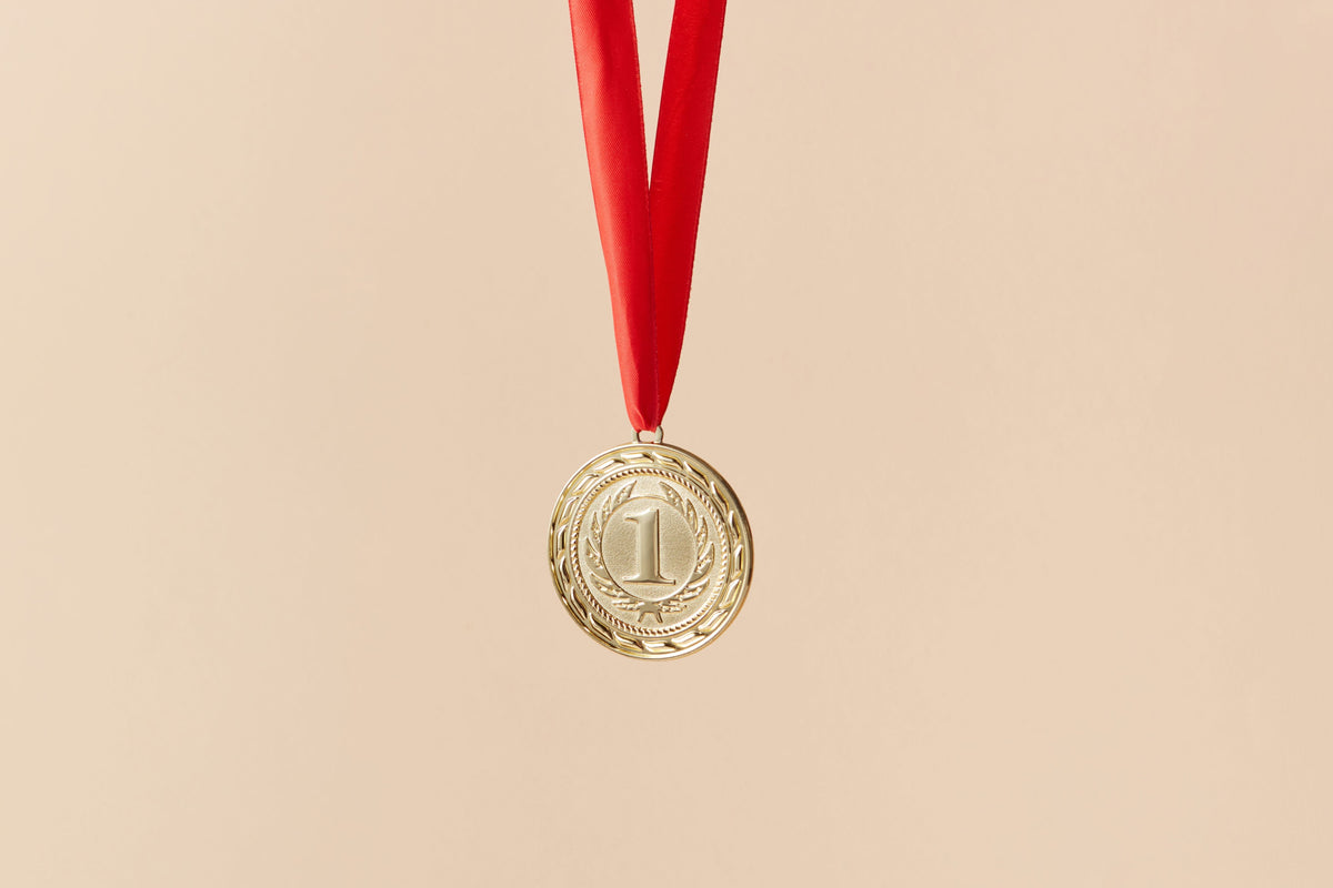 The One and Only Ivan: A Newbery Award Winner