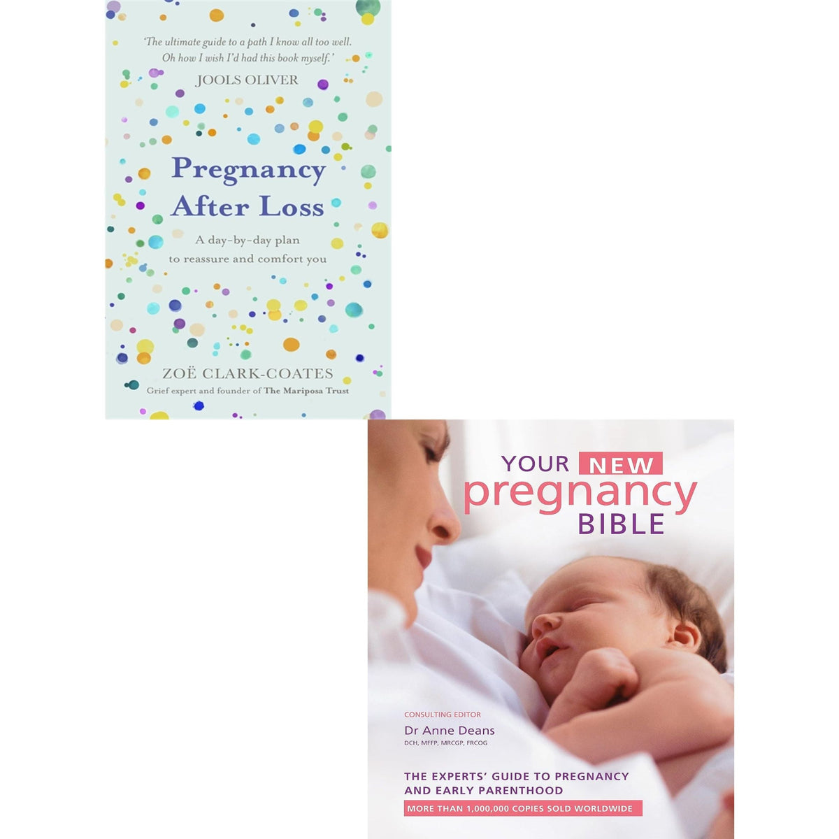 Your New Pregnancy Bible, Pregnancy After Loss 2 Books Collection Set