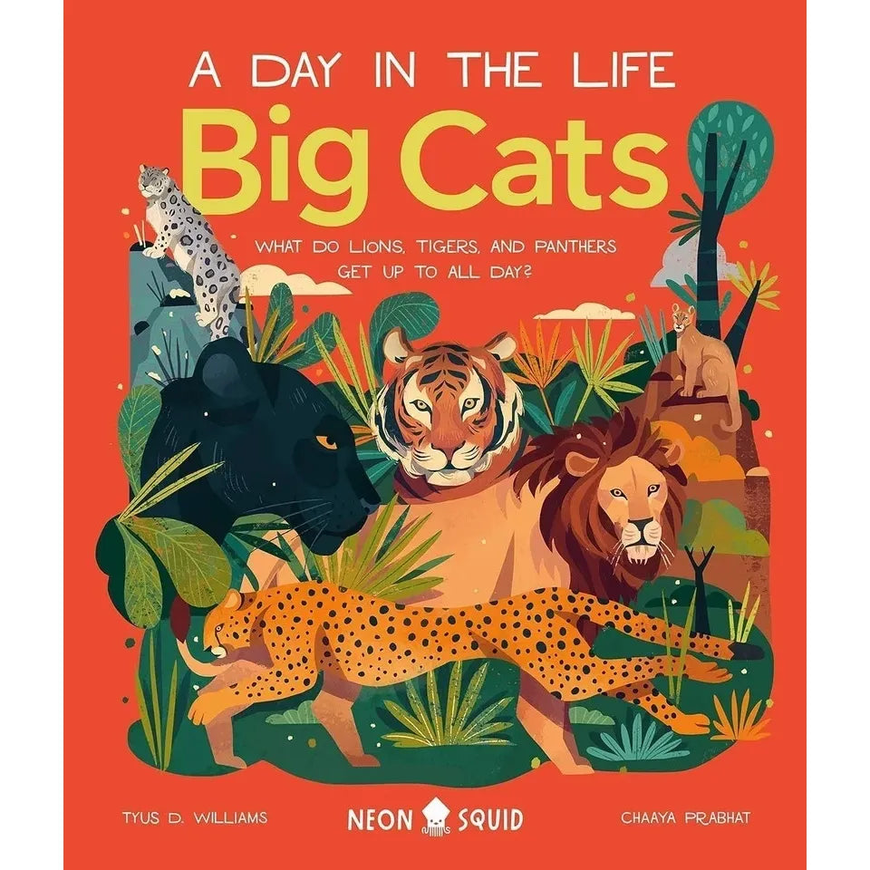 A Day in the Life Series 8 Books Collection Set (Bugs, Big Cats, Sharks, Horses, Birds, Frogs, Bears, Snakes)